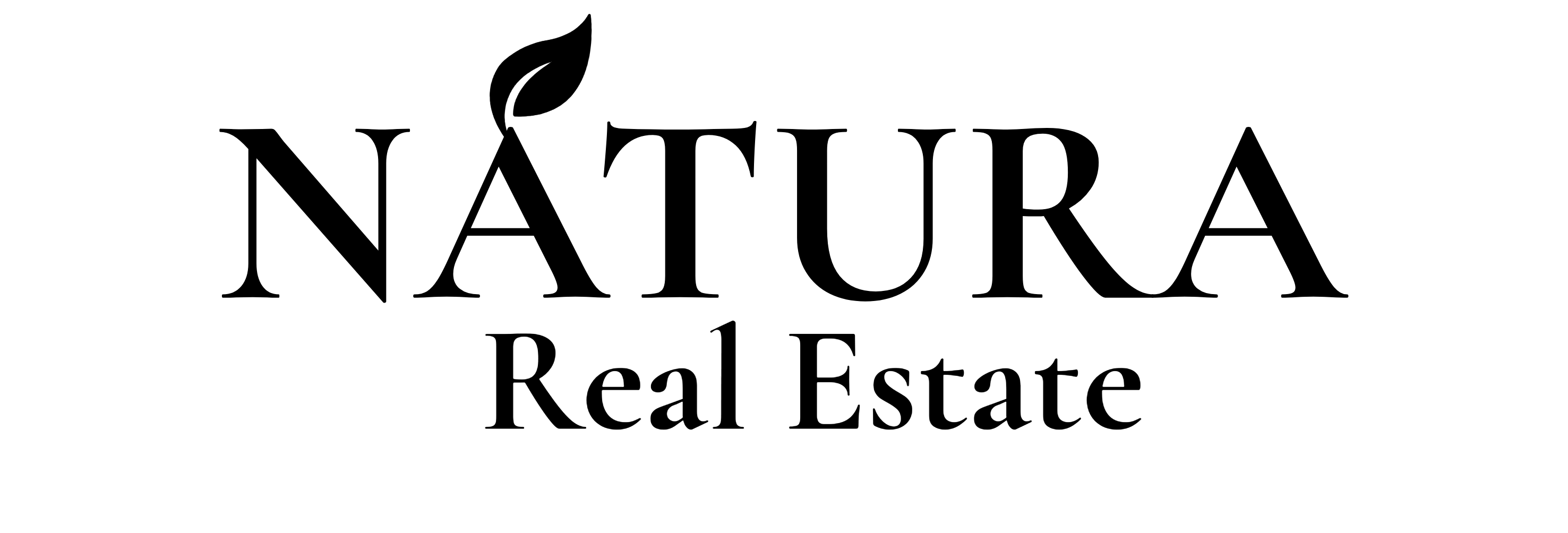 Natura Real Estate Logo